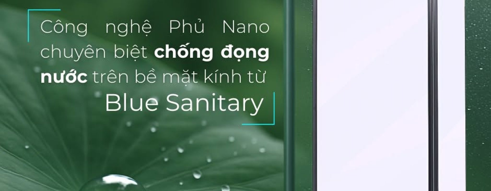 CÔNG NGHỆ NANO CHỐNG BÁM CẶN - CẢM HỨNG TỪ HIỆU ỨNG LÁ SEN  🥳 Blue Sanitary tự hào mang đến giải pháp đột phá với công nghệ kính phủ Nano Easy Clean độc quyền!  ✨ Lớp phủ Nano Easy Clean siêu mịn tạo ra một "lá chắn" vô hình trên bề mặt kính, giúp hạn chế đến 80% độ bám của hơi nước và các tạp chất. Nhờ vậy, mọi vết bẩn đều dễ dàng được lau chùi, giữ cho sản phẩm của bạn luôn lung linh qua thời gian.  🌿 Vậy đâu là nguồn cảm hứng cho công nghệ đầy ấn tượng này? Đó chính là "hiệu ứng lá sen". Bề mặt lá sen được bao phủ bởi hàng triệu cấu trúc siêu nhỏ phủ đầy lớp sáp mịn. Cấu trúc phức tạp này tạo ra một lớp đệm không khí ngay trên bề mặt lá, khiến giọt nước nhẹ nhàng vo tròn và lăn đi, cuốn theo mọi bụi bẩn, giữ cho lá sen luôn sạch sẽ và khô ráo. 💎 Blue Sanitary chắt lọc tinh hoa từ khả năng tự làm sạch hoàn hảo này của lá sen để kiến tạo nên dòng sản phẩm phòng tắm kính đẳng cấp. Không chỉ là sự tiện nghi, chúng tôi mang đến một vẻ đẹp bền vững, tinh khiết cho không gian sống của bạn_1